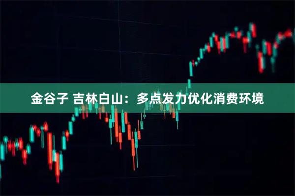 金谷子 吉林白山：多点发力优化消费环境