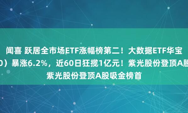 闻喜 跃居全市场ETF涨幅榜第二！大数据ETF华宝（516700）暴涨6.2%，近60日狂揽1亿元！紫光股份登顶A股吸金榜首